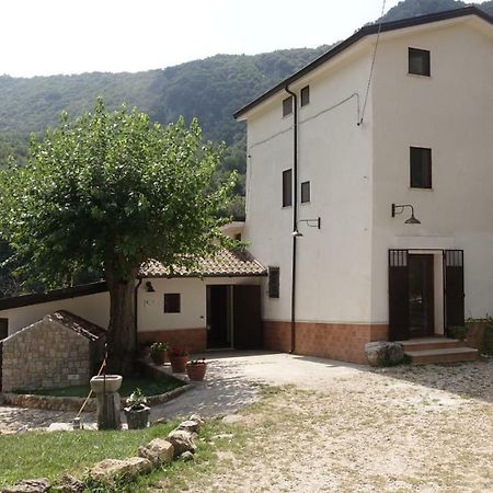 Azienda Agrituristica Terraria Hotell Campagna Eksteriør bilde